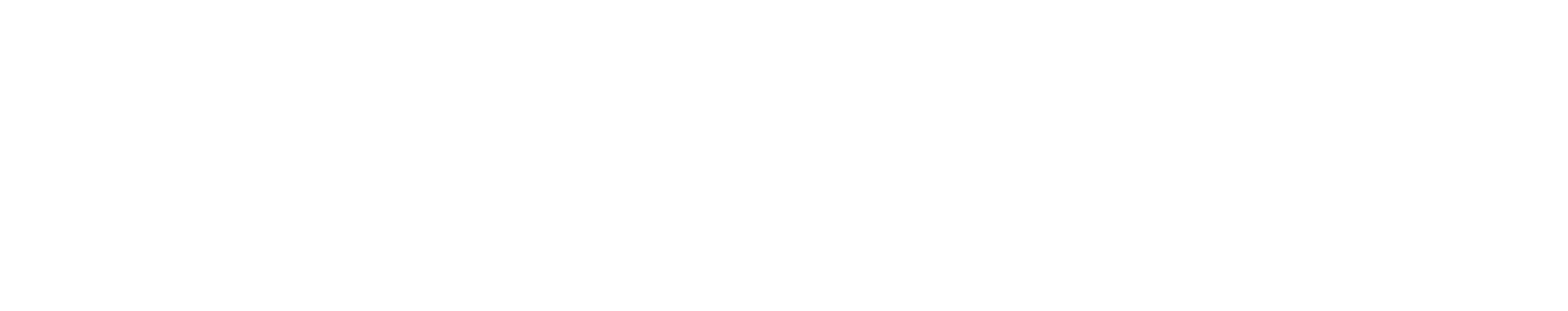 CI Web Group Digital Marketing Agency